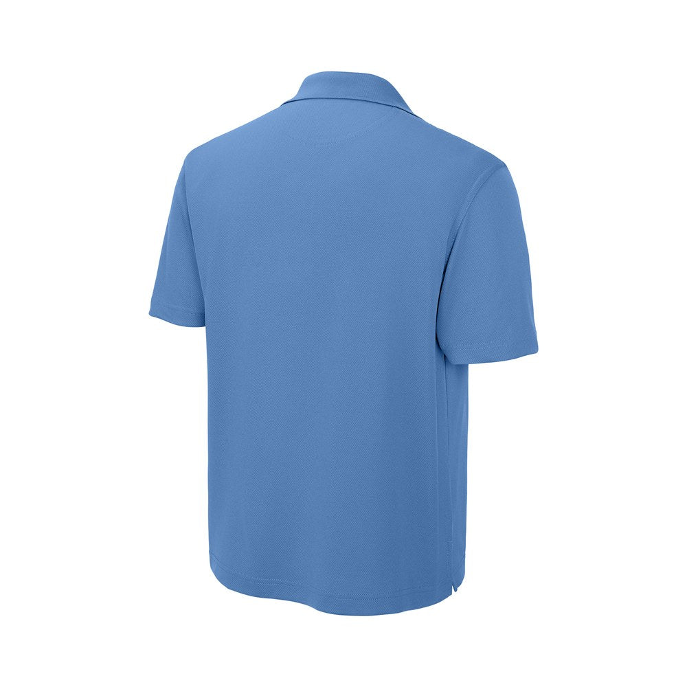 Blueberry | Back