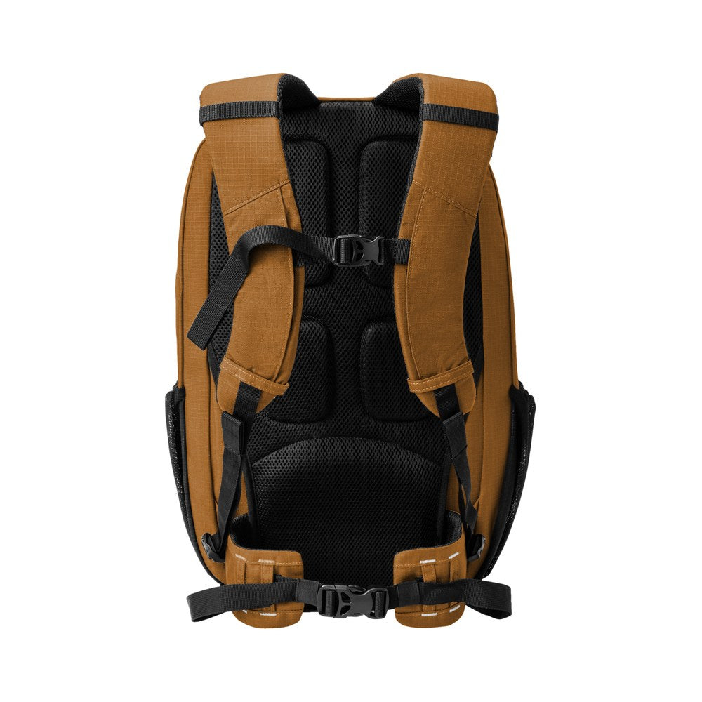 Brown | Back
