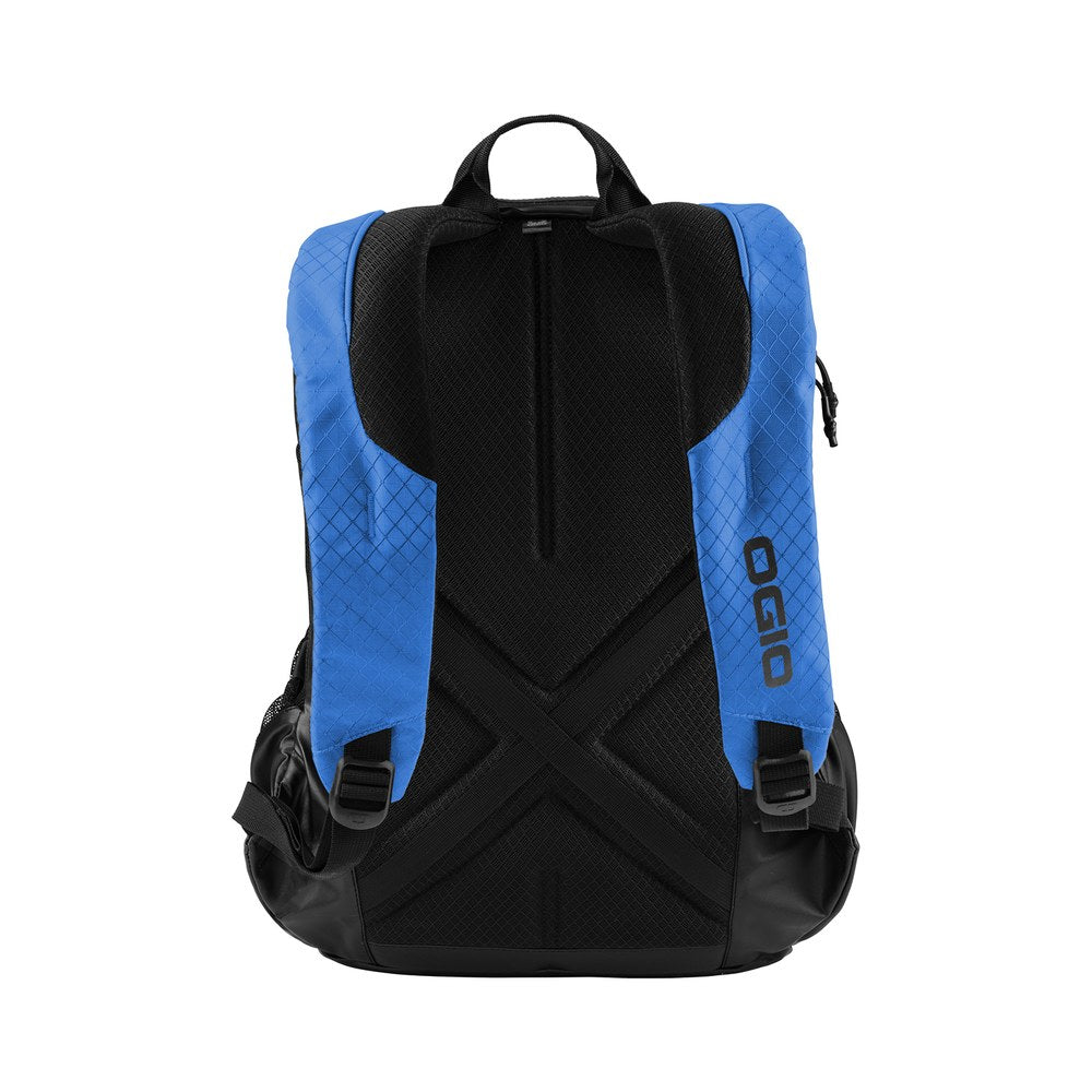 Cobalt Blue | Back