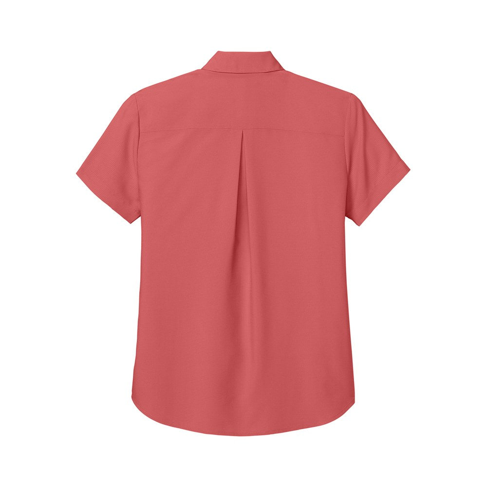Coral Reef | Back