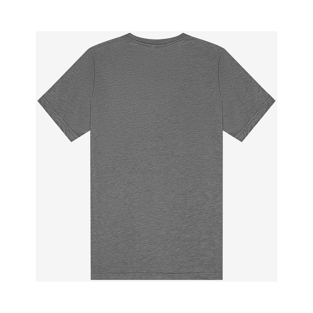 Grey Triblend | Back