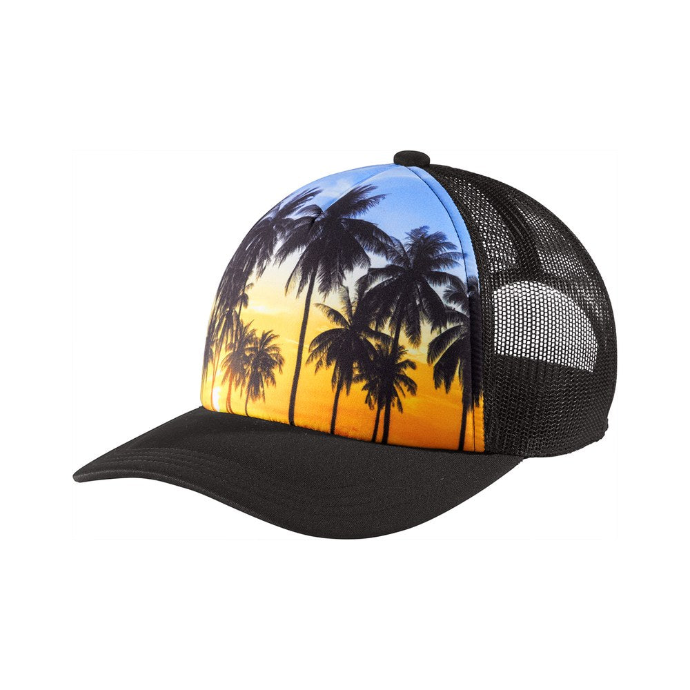 Palm Trees