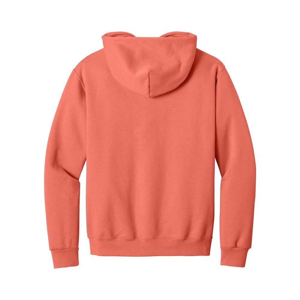 Sunset Coral | Back