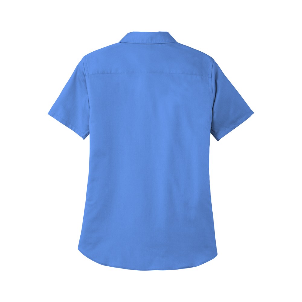 Ultramarine Blue | Back